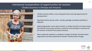 The future of sustainable livestock systems in low- and middle-income countries