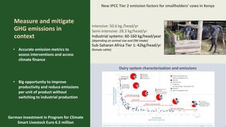 The future of sustainable livestock systems in low- and middle-income countries