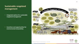 The future of sustainable livestock systems in low- and middle-income countries