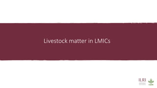 The future of sustainable livestock systems in low- and middle-income countries