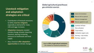 The future of sustainable livestock systems in low- and middle-income countries