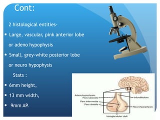 Cont: 2 histological entities- Large, vascular, pink anterior lobe  or adeno hypophysis Small, grey-white posterior lobe or neuro hypophysis Stats : 6mm height, 13 mm width, 9mm AP. 