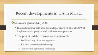 Conservation Agriculture in Malawi | PDF