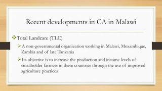 Conservation Agriculture in Malawi | PDF