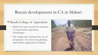 Conservation Agriculture in Malawi | PDF