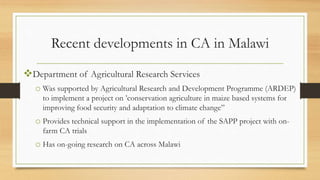 Conservation Agriculture in Malawi | PDF