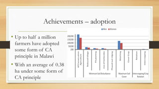 Conservation Agriculture in Malawi | PDF