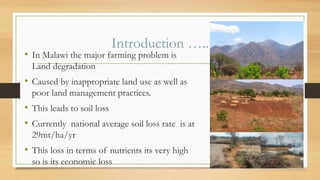 Conservation Agriculture in Malawi | PDF