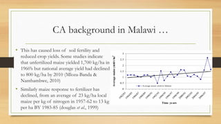 Conservation Agriculture in Malawi | PDF
