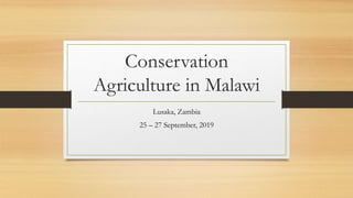 Conservation
Agriculture in Malawi
Lusaka, Zambia
25 – 27 September, 2019
 