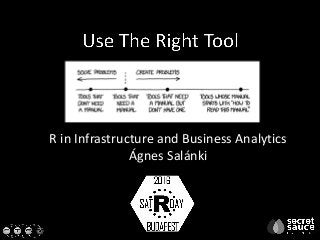 R in Infrastructure and Business Analytics
Ágnes Salánki
 