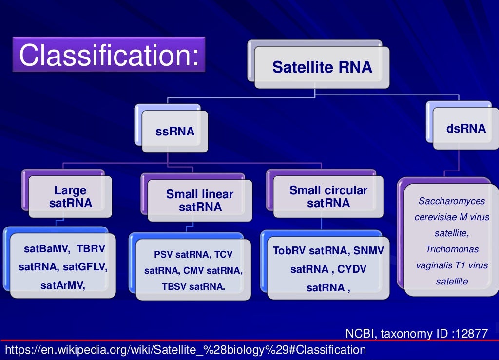 Satellite RNA