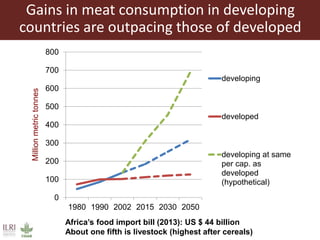 Livestock: The global context