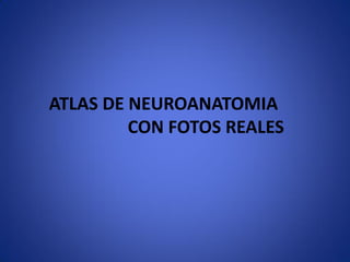 ATLAS DE NEUROANATOMIA
CON FOTOS REALES

 
