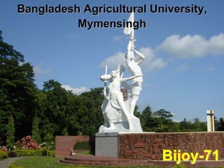Bangladesh Agricultural University,
Mymensingh
Bijoy-71
 