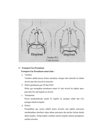 C. Transport Gas Pernafasan
Transport Gas Pernafasan antara lain :
a. Ventilasi
Ventilasi adalah proses keluar masuknya oksigen dari atmosfer ke dalam
alveoli atau dari alveoli ke atmosfer.
b. Difusi (pertukaran gas O2 dan CO2)
Difusi gas merupakan pertukaran antara O2 dari alveoli ke kapiler paruparu dan CO2 dari kapiler ke alveoli.
c. Transportasi
Proses pendistribusian antara O2 kapiler ke jaringan tubuh dan CO 2
jaringan tubuh ke kapiler.
d. Perfusi
Pemindahan gas secara efektif antara alveolus dan kapiler paru-paru
membutuhkan distribusi udara dalam paru-paru dan perfusi (aliran darah)
dalam kapiler. Setiap kapiler memberi perfusi kepada saluran pernapasan,
melalui alveolus.

 
