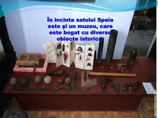 În incinta satului Speia
este şi un muzeu, care
este bogat cu diverse
obiecte istorice.
 