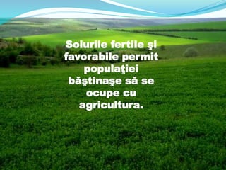 Solurile fertile şi
favorabile permit
populaţiei
băştinaşe să se
ocupe cu
agricultura.
 