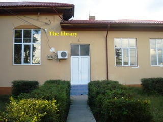 The library
 