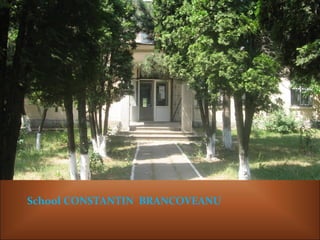 School CONSTANTIN BRANCOVEANU
 