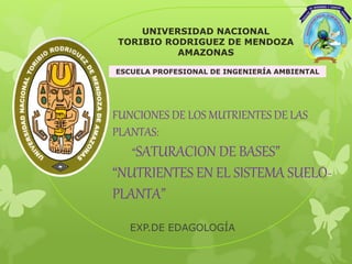 FUNCIONES DE LOS MUTRIENTES DE LAS
PLANTAS:
“SATURACION DE BASES”
“NUTRIENTES EN EL SISTEMA SUELO-
PLANTA”
EXP.DE EDAGOLOGÍA
UNIVERSIDAD NACIONAL
TORIBIO RODRIGUEZ DE MENDOZA
AMAZONAS
ESCUELA PROFESIONAL DE INGENIERÍA AMBIENTAL
 