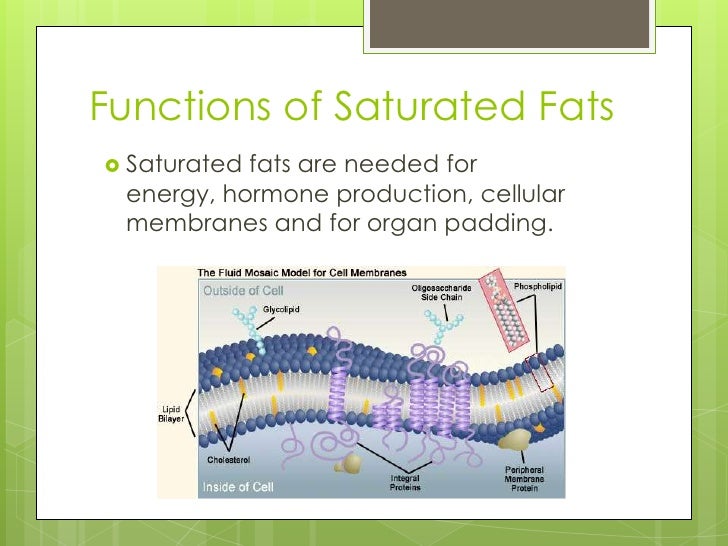 Saturated fat