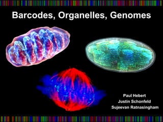 Barcodes, Organelles, Genomes




                         Paul Hebert
                       Justin Schonfeld
                    Sujeevan Ratnasingham
 