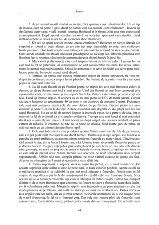 Saturn

2. Acest animal merită studiat cu atenţie, căci aparţine clasei zburătoarelor. Un alt tip
de insectă, care nu poate fi găsit decât pe Saturn, este aşa-numita „stea zburătoare”. Insecta îşi
desfăşoară activitatea vitală numai noaptea. Habitatul ei în timpul zilei este bine cunoscutul
arbore-piramidă. După apusul soarelui, ea oferă un adevărat spectacol saturnienilor, când
dintr-un arbore se ridică în aer mii de asemenea stele zburătoare.
3. De ce i se spune acestei insecte „steaua zburătoare'? Deoarece pe părţile laterale ale
corpului ei rotund şi puţin alungit ea are câte trei aripi piramidale ascuţite, care strălucesc
foarte puternic. Când toate aripile sunt întinse, ele dau insectei o formă de stea cu şase colţuri.
Cum aceste animale nu zboară niciodată prea departe de locuinţa lor, arborele-piramidă este
iluminat feeric noaptea, când mii de asemenea insecte zboară haotic în jurul lui.
4. Mai există şi alte insecte care emit noaptea lumini de diferite culori. Lumina lor nu
este însă la fel de puternică, iar dimensiunile lor sunt considerabil mai mici. De aceea, saturnienii le acordă mai puţină atenţie. Există de asemenea şi o serie de păsări ale căror pene strălucesc puternic, în special atunci când zboară.
5. Întrucât nu există alte aspecte interesante legate de lumea insectelor, ne vom îndrepta în continuare atenţia asupra lumii păsărilor. Dar înainte de aceasta, vom face un scurt
popas în universul fluturilor.
6. La fel cum fluturii de pe Pământ poartă pe aripile lor cele mai frumoase culori şi
desene, cei de pe Saturn sunt încă şi mai reuşiţi. Unul din fluturii cei mai bine cunoscuţi este
aşa-numitul corn, cel mai mare şi mai superb dintre toţi fluturii care trăiesc pe acest corp ceresc. Când îşi întinde aripile, el acoperă cu ele nu mai puţin de 1570 de metri pătraţi. Corpul
său are o lungime de aproximativ 40 de metri şi un diametru de aproape 2 metri. Picioarele
sale sunt mai puternice decât cele ale unui elefant de pe Pământ. Fiecare picior are şase
membre şi poate fi extins la dorinţă. Antenele seamănă mai degrabă cu doi plopi care ies din
capul fluturelui. Ele au un fel de ramuri dispuse la intervale egale, de o parte şi de alta, într-o
manieră la fel de ordonată ca şi crengile coniferelor. Trompa este mai lungă şi mai puternică
decât cea a unui elefant terestru. Dacă ne-am lua după corpul său, această creatură ar părea
extrem de robustă. În realitate, ea este cât se poate de sfioasă, fiind foarte greu de prins, cu
atât mai mult cu cât zborul său este foarte rapid.
7. Cele mai îndemânatice în prinderea acestui fluture sunt tinerele fete de pe Saturn,
căci ele pot pluti mult mai uşor în aer decât bărbaţii. Pentru a-şi atinge scopul, ele folosesc o
pereche de aripi artificiale, cu ajutorul cărora urmăresc fluturele cu mare viteză. Când reuşesc
să-l prindă în aer, ele se bucură foarte tare, căci folosesc toate accesoriile fluturelui pentru aşi decora hainele. Cu greu veţi putea găsi o altă planetă pe care femeile, mai ales cele din tânăra generaţie, să pună un preţ atât de mare pe hainele cochete. Pentru a înţelege mai bine de
ce este atât de preţuit acest fluture, trebuie să-i descriem pe scurt splendoarea de-a dreptul
supranaturală. Aripile sale sunt complet pătrate, cu nişte vârfuri ascuţite în partea din faţă.
Acestea au o lungime de 3 metri şi seamănă cu nişte săbii late.
8. Partea superioară a aripilor arată ca aurul fin şlefuit, cu o tentă trandafirie. De
această suprafaţă aurie atârnă o serie de pene mari, în toate culorile posibile. Aceste culori au
o strălucire metalică şi se schimbă la cea mai mică mişcare a fluturelui. Penele sunt astfel
ataşate de suprafaţa aripii încât din aranjamentul lor rezultă cele mai frumoase desene. Nici
acestea nu au o natură permanentă, aşa cum se întâmplă cu fluturii voştri. Forme noi, complet
diferite şi de o mare frumuseţe apar continuu, cu fiecare mişcare a fluturelui (care duce inclusiv la schimbarea culorilor). Marginile aripilor sunt împodobite cu pene similare cu cele din
coada păunilor de pe Pământ, dar mult mai mari şi cu culori mai strălucitoare. Partea inferioară a aripilor este tot aurie, dar cu o tentă verzuie. Picioarele animalului au şi ele ataşate pene
de o rară frumuseţe, la fel ca şi întregul corp. Dar cele mai reuşite părţi ale fluturelui sunt
antenele sale, foarte strălucitoare, părând confecţionate din aur transparent. Ele reflectă toate
44

 