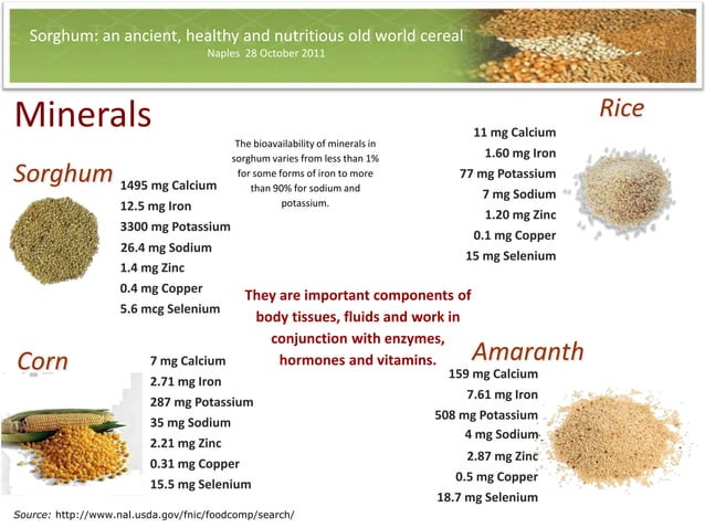 Sorghum:an ancient, nutritious and healthly old world cereal | PPT