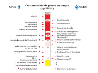 SecuelasDisminución de la velocidad de conducción nerviosaDisminución del coeficiente intelectualIncremento de la actividad psicomotoraProblemas de aprendizajeParálisis muscularMuñeca caídaPié caidoCambios comportamentalesEfectos tóxicos en el sistema reproductivoIncremento en abortosInfertilidadAnormalidades congénitas menores.Secuelas renales