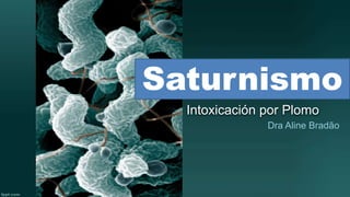 Intoxicación por Plomo
Dra Aline Bradão
Saturnismo
 