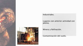 Industriales. 
Lugares con anterior actividad con 
plomo. 
Minera y Refinación. 
Contaminación del suelo. 
 