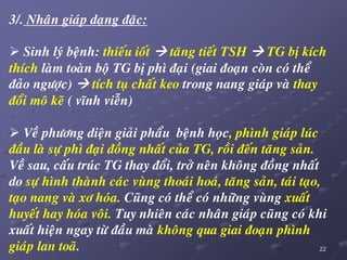 22
3/. Nhaân giaùp daïng ñaëc:
 Sinh lyù beänh: thieáu ioát  taêng tieát TSH  TG bò kích
thích laøm toaøn boä TG bò phì ñaïi (giai ñoaïn coøn coù theå
ñaûo ngöôïc)  tích tuï chaát keo trong nang giaùp vaø thay
ñoåi moâ keõ ( vónh vieãn)
 Veà phöông dieän giaûi phaåu beänh hoïc, phình giaùp luùc
ñaàu laø söï phì ñaïi ñoàng nhaát cuûa TG, roài ñeán taêng saûn.
Veà sau, caáu truùc TG thay ñoåi, trôû neân khoâng ñoàng nhaát
do söï hình thaønh caùc vuøng thoaùi hoaù, taêng saûn, taùi taïo,
taïo nang vaø xô hoùa. Cuõng coù theå coù nhöõng vuøng xuaát
huyeát hay hoùa voâi. Tuy nhieân caùc nhaân giaùp cuõng coù khi
xuaát hieän ngay töø ñaàu maø khoâng qua giai ñoaïn phình
giaùp lan toaõ.
 