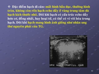 43
 Ñaëc ñieåm haïch di caên: maát hình baàu duïc, thöôøng hình
troøn, khoâng coøn roán haïch echo daày ôû vuøng trung taâm duø
haïch kích thöôùc nhoû. Ñoâi khi haïch coù caáu truùc echo daày
hôn cô, ñoàng nhaát, hay hoaïi töû, coù theå coù vi voâi hoùa trong
haïch. Ñoâi khi haïch mang hình aûnh gioáng nhö nhaân ung
thö nguyeân phaùt cuûa TG.
 