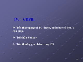 55
IV. CÑPB:
 Toån thöông ngoaøi TG: haïch, böôùu boïc coå beân, u
caän giaùp.
 Tuùi thöøa Zenker.
 Toån thöông giaû nhaân trong TG.
 