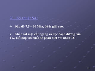 84
2/. Kyõ thuaät SA:
 Ñaàu doø 7.5 – 10 Mhz, ñoä ly giaûi cao.
 Khaûo saùt maët caét ngang vaø doïc ñoaïn ñöôøng cuûa
TG, keát hôïp vôùi nuoát ñeå phaân bieät vôùi nhaân TG.
 