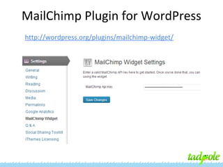 MailChimp Plugin for WordPress
http://wordpress.org/plugins/mailchimp-widget/

 