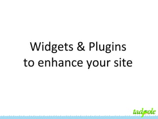 Widgets & Plugins
to enhance your site

 
