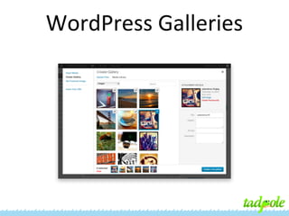 WordPress Galleries

 