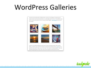 WordPress Galleries

 