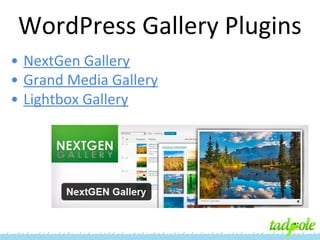 WordPress Gallery Plugins
• NextGen Gallery
• Grand Media Gallery
• Lightbox Gallery

 