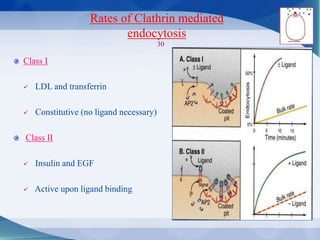 Rates of Clathrin mediated
endocytosis
30
Class I
 LDL and transferrin
 Constitutive (no ligand necessary)
Class II
 Insulin and EGF
 Active upon ligand binding
 
