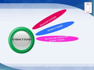 ENDOCYTOSIS
6
 