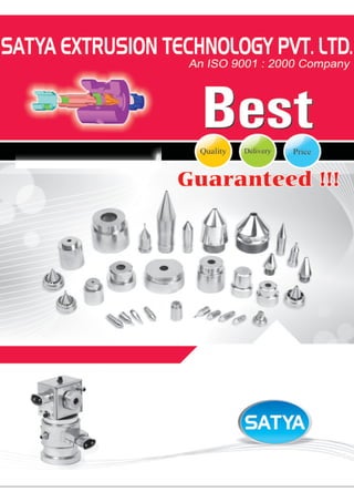 Satya Catalog