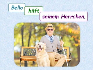 Bello
hilft
seinem Herrchen.
 