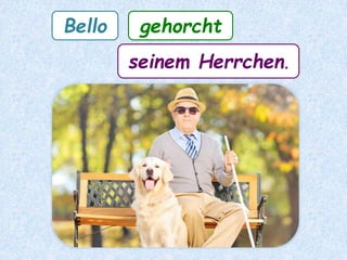 Bello gehorcht
seinem Herrchen.
 