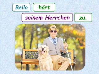 Bello hört
seinem Herrchen zu.
 