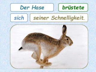 Der Hase brüstete
seiner Schnelligkeit.sich
 