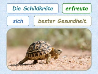 Spanisch: presumir / vanagloriarse /
jactar/ alardear de algo
brüsteneiner Sachesich
 