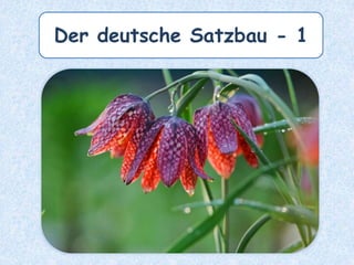 Der deutsche Satzbau - 1
 